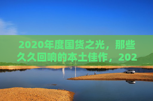 2020年度国货之光，那些久久回响的本土佳作，2020国货之光，久久回响的本土佳作