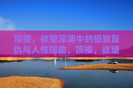 顶楼，欲望深渊中的极致复仇与人性扭曲，顶楼，欲望深渊中的极致复仇与人性扭曲