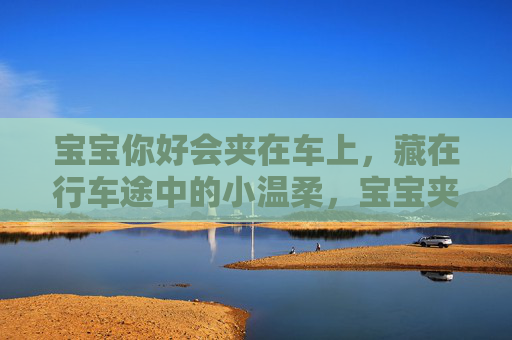 宝宝你好会夹在车上，藏在行车途中的小温柔，宝宝夹出的行车小温柔