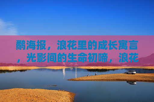 鹬海报，浪花里的成长寓言，光影间的生命初啼，浪花光影里的鹬，成长初啼寓言