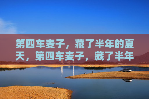 第四车麦子，藏了半年的夏天，第四车麦子，藏了半年的夏天
