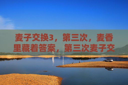 麦子交换3，第三次，麦香里藏着答案，第三次麦子交换，麦香里藏着答案