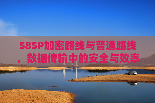 S8SP加密路线与普通路线，数据传输中的安全与效率之辨，S8SP加密路线与普通路线，数据传输安全与效率之辨