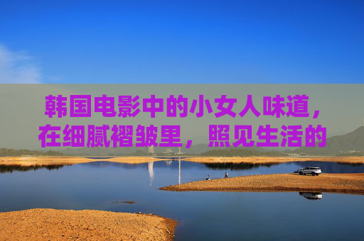 韩国电影中的小女人味道，在细腻褶皱里，照见生活的微光，褶皱照微光，韩国电影的小女人味道