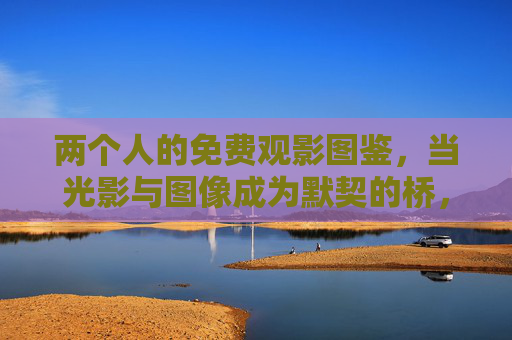 两个人的免费观影图鉴，当光影与图像成为默契的桥，两个人的免费观影图鉴，光影为桥，默契为鉴