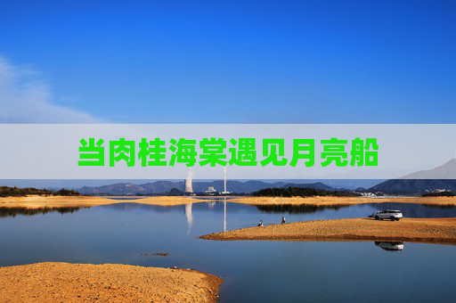 当肉桂海棠遇见月亮船