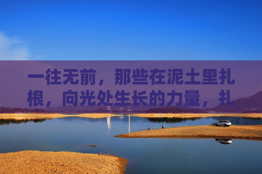 一往无前，那些在泥土里扎根，向光处生长的力量，扎根泥土，向光生长