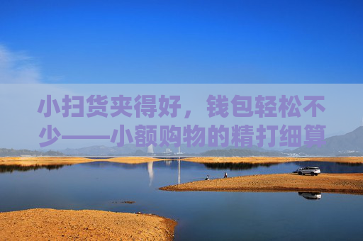 小扫货夹得好,钱包轻松不少——小额购物的精打细算指南,小额购物精打细算,钱包轻松不少 小扫货夹得好,钱包轻松不少——小额购物的精打细算指南,小额购物精打细算,钱包轻松不少