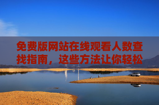 免费版网站在线观看人数查找指南,这些方法让你轻松掌握实时数据,免费网站在线观看人数实时查找指南 免费版网站在线观看人数查找指南,这些方法让你轻松掌握实时数据,免费网站在线观看人数实时查找指南