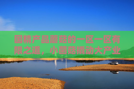 国精产品蘑菇的一区一区有限之道，小菌菇撬动大产业的精品密码，小菌菇撬动大产业，国精蘑菇的一域精品密码