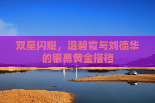 双星闪耀,温碧霞与刘德华的银幕黄金搭档 双星闪耀,温碧霞与刘德华的银幕黄金搭档