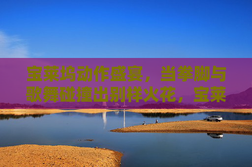 宝莱坞动作盛宴，当拳脚与歌舞碰撞出别样火花，宝莱坞拳脚歌舞碰撞盛宴