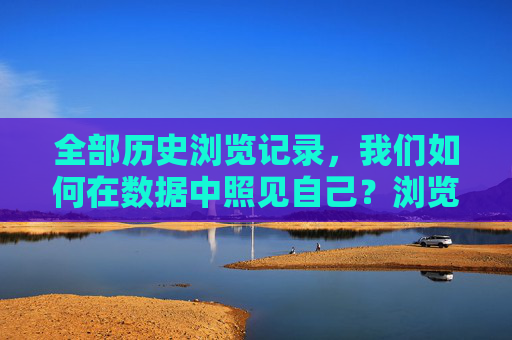 全部历史浏览记录,我们如何在数据中照见自己?浏览记录,数据中的自我之镜 全部历史浏览记录,我们如何在数据中照见自己?浏览记录,数据中的自我之镜