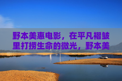 野本美惠电影，在平凡褶皱里打捞生命的微光，野本美惠，在平凡褶皱里打捞生命微光