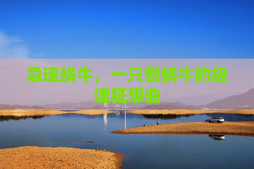 急速蜗牛，一只慢蜗牛的极速狂想曲
