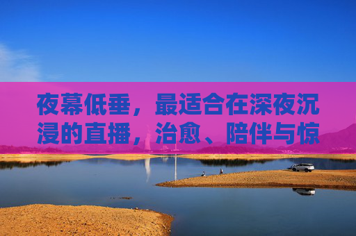 夜幕低垂，最适合在深夜沉浸的直播，治愈、陪伴与惊喜，夜幕低垂，治愈直播，沉浸陪伴与惊喜