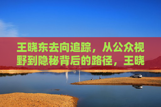 王晓东去向追踪，从公众视野到隐秘背后的路径，王晓东去向追踪，从公众视野到隐秘轨迹