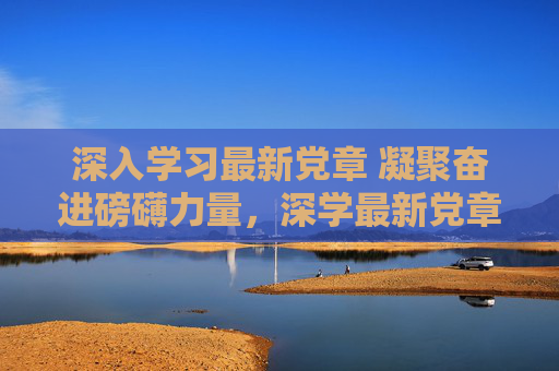 深入学习最新党章 凝聚奋进磅礴力量，深学最新党章 凝聚奋进伟力