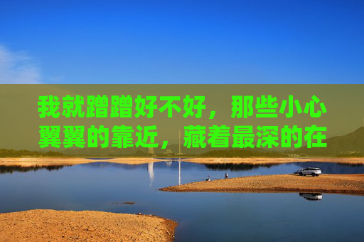 我就蹭蹭好不好，那些小心翼翼的靠近，藏着最深的在意，蹭蹭的靠近，藏着最深的在意