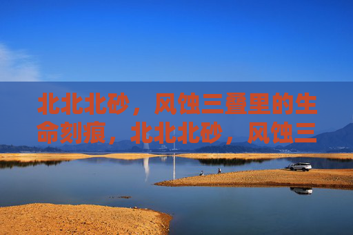 北北北砂，风蚀三叠里的生命刻痕，北北北砂，风蚀三叠的生命刻痕
