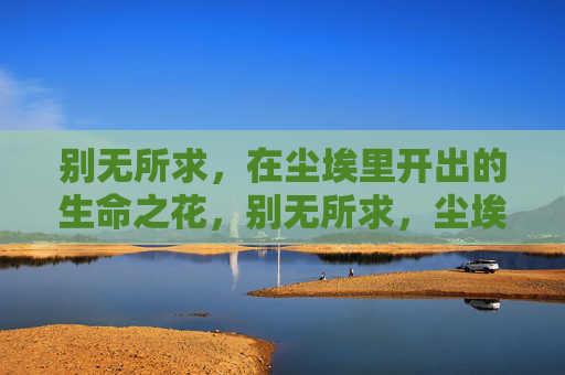 别无所求，在尘埃里开出的生命之花，别无所求，尘埃里的生命之花