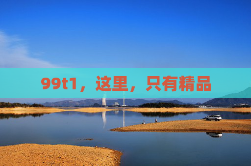 99t1，这里，只有精品