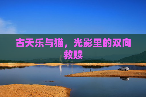 古天乐与猫，光影里的双向救赎