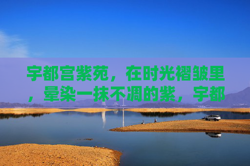 宇都宫紫苑，在时光褶皱里，晕染一抹不凋的紫，宇都宫紫苑，时光褶皱里的不凋紫