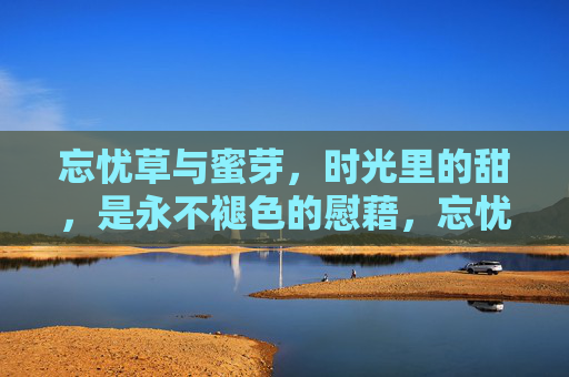 忘忧草与蜜芽，时光里的甜，是永不褪色的慰藉，忘忧草蜜芽，时光甜慰