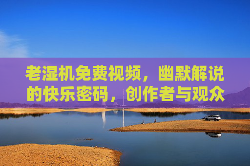 老湿机免费视频，幽默解说的快乐密码，创作者与观众的温暖共鸣，老湿机免费视频，幽默解说的快乐密码与温暖共鸣