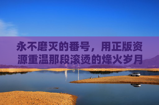 永不磨灭的番号，用正版资源重温那段滚烫的烽火岁月，永不磨灭的番号，重温滚烫烽火岁月