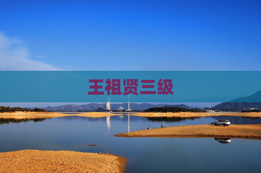 王祖贤三级