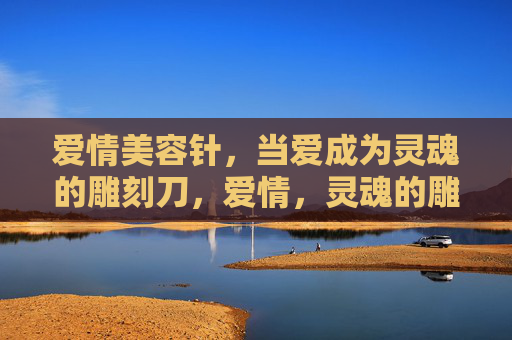 爱情美容针，当爱成为灵魂的雕刻刀，爱情，灵魂的雕刻美容针