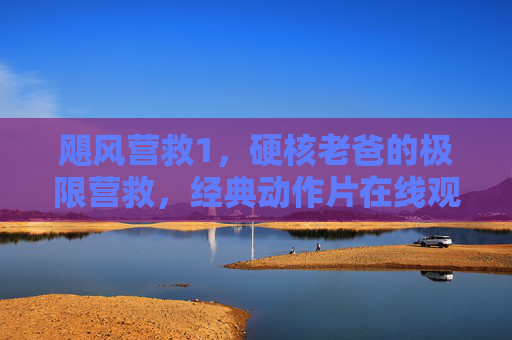 飓风营救1，硬核老爸的极限营救，经典动作片在线观看指南