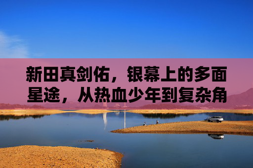 新田真剑佑，银幕上的多面星途，从热血少年到复杂角色的蜕变，新田真剑佑，银幕星途的多面蜕变