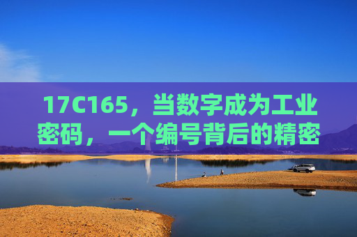17C165,当数字成为工业密码,一个编号背后的精密文明,17C165,工业密码背后的精密文明 17C165,当数字成为工业密码,一个编号背后的精密文明,17C165,工业密码背后的精密文明