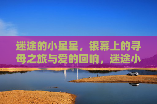 迷途的小星星,银幕上的寻母之旅与爱的回响,迷途小星星的银幕寻母,爱的回响 迷途的小星星,银幕上的寻母之旅与爱的回响,迷途小星星的银幕寻母,爱的回响