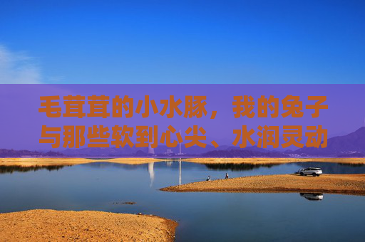 毛茸茸的小水豚,我的兔子与那些软到心尖、水润灵动的高清日常,毛茸茸小水豚和兔子的心尖水润日常 毛茸茸的小水豚,我的兔子与那些软到心尖、水润灵动的高清日常,毛茸茸小水豚和兔子的心尖水润日常