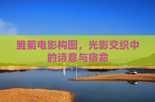 雏菊电影构图,光影交织中的诗意与宿命 雏菊电影构图,光影交织中的诗意与宿命