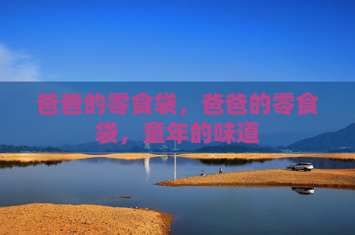爸爸的零食袋,爸爸的零食袋,童年的味道 爸爸的零食袋,爸爸的零食袋,童年的味道
