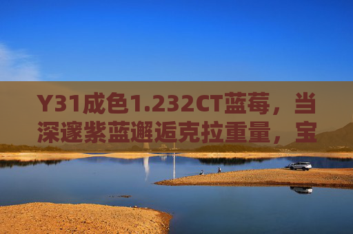 Y31成色1.232CT蓝莓,当深邃紫蓝邂逅克拉重量,宝石中的蓝莓甜心,232CT蓝莓甜心,Y31成色深邃紫蓝宝石 Y31成色1.232CT蓝莓,当深邃紫蓝邂逅克拉重量,宝石中的蓝莓甜心,232CT蓝莓甜心,Y31成色深邃紫蓝宝石