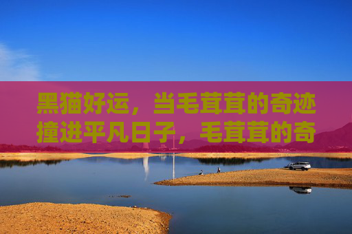 黑猫好运,当毛茸茸的奇迹撞进平凡日子,毛茸茸的奇迹,黑猫撞进平凡日子的好运 黑猫好运,当毛茸茸的奇迹撞进平凡日子,毛茸茸的奇迹,黑猫撞进平凡日子的好运