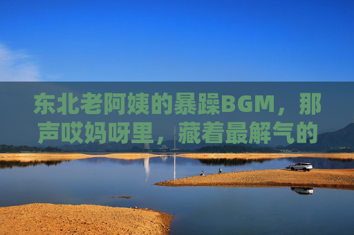 东北老阿姨的暴躁BGM,那声哎妈呀里,藏着最解气的江湖气,东北老阿姨的江湖解气,一声哎妈呀的BGM暴击 东北老阿姨的暴躁BGM,那声哎妈呀里,藏着最解气的江湖气,东北老阿姨的江湖解气,一声哎妈呀的BGM暴击
