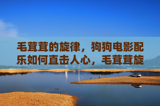 毛茸茸的旋律，狗狗电影配乐如何直击人心，毛茸茸旋律，狗狗电影配乐直击人心