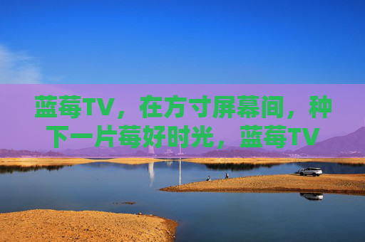 蓝莓TV,在方寸屏幕间,种下一片莓好时光,蓝莓TV,方寸屏幕种莓好时光 蓝莓TV,在方寸屏幕间,种下一片莓好时光,蓝莓TV,方寸屏幕种莓好时光