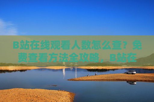 B站在线观看人数怎么查?免费查看方法全攻略,B站在线观看人数查询,免费查看方法全攻略 B站在线观看人数怎么查?免费查看方法全攻略,B站在线观看人数查询,免费查看方法全攻略