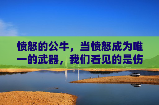 愤怒的公牛，当愤怒成为唯一的武器，我们看见的是伤痕还是救赎？愤怒的公牛，伤痕还是救赎？