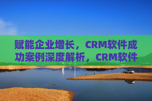 赋能企业增长，CRM软件成功案例深度解析，CRM软件赋能企业增长，成功案例深度解析