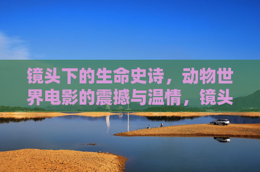 镜头下的生命史诗,动物世界电影的震撼与温情,镜头下的生命史诗,动物世界的震撼与温情 镜头下的生命史诗,动物世界电影的震撼与温情,镜头下的生命史诗,动物世界的震撼与温情