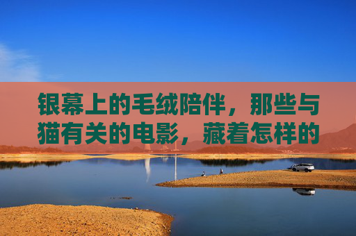 银幕上的毛绒陪伴，那些与猫有关的电影，藏着怎样的温柔与治愈？银幕猫咪，藏在电影里的温柔与治愈